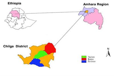 Morphological and Molecular Diversity of Ginger (Zingiber officinale Roscoe) Pathogenic Fungi in Chilga District, North Gondar, Ethiopia